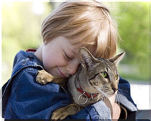 5 lessons kids can learn from cats 