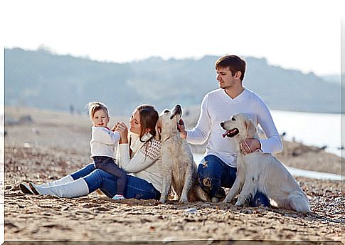 dogs and family