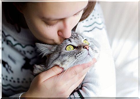 Girl hugging cat