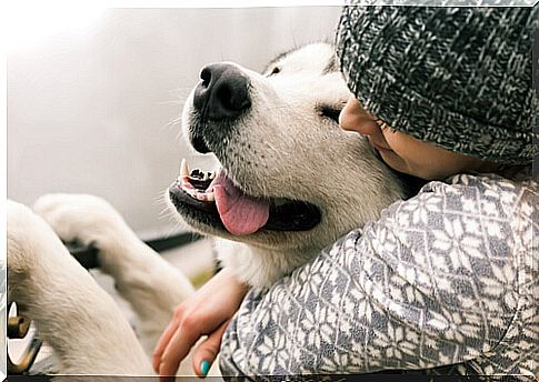 Dogs feel love