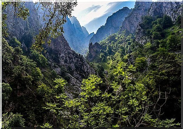 Natural parks of Spain: Picos de Europa