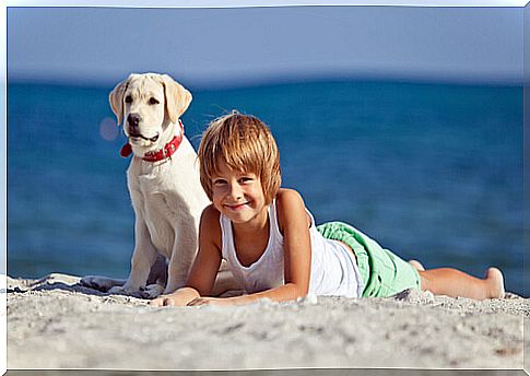 A child with autism achieves socialization thanks to a dog