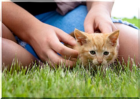 A study reveals that pets help combat stress