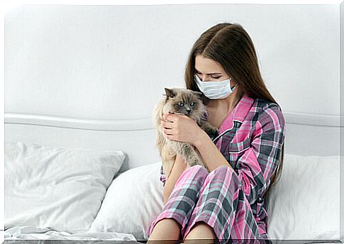 Causes of cat allergy and consequences