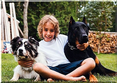 Children and dogs: a responsibility at every age