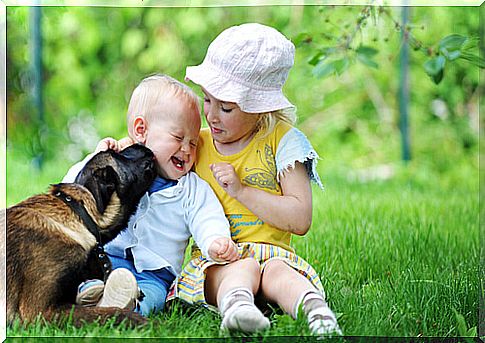 dog and children