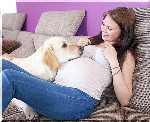 Did you know that dogs regulate the overweight of pregnant women?