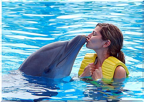 Dolphin trainer