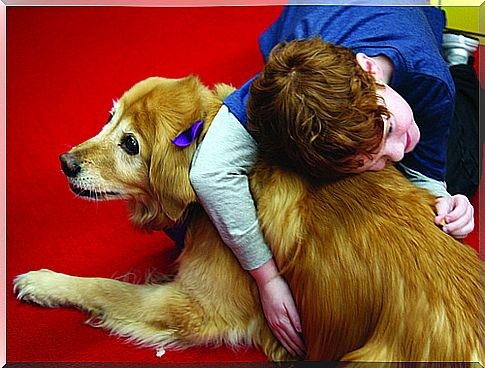 Emotional benefits of animal assistance