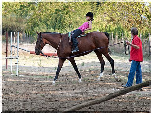 equine therapy 2