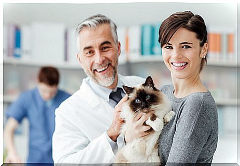 Five best veterinary clinics in Madrid