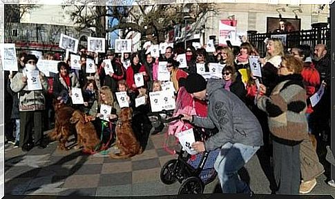 Great march for the defense of animal rights