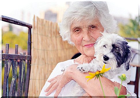 Dog and elderly person