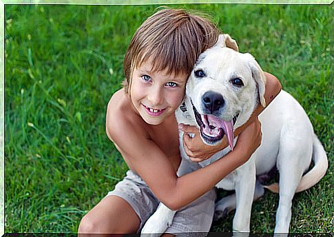 dog with child