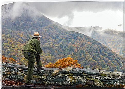 How to become a park ranger