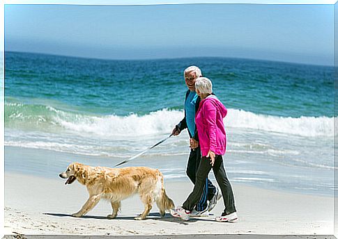 Walking the dog on the beach