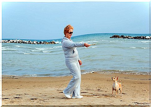 Dog on the beach with its owner