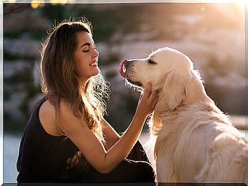 Tips to strengthen the bond with your dog