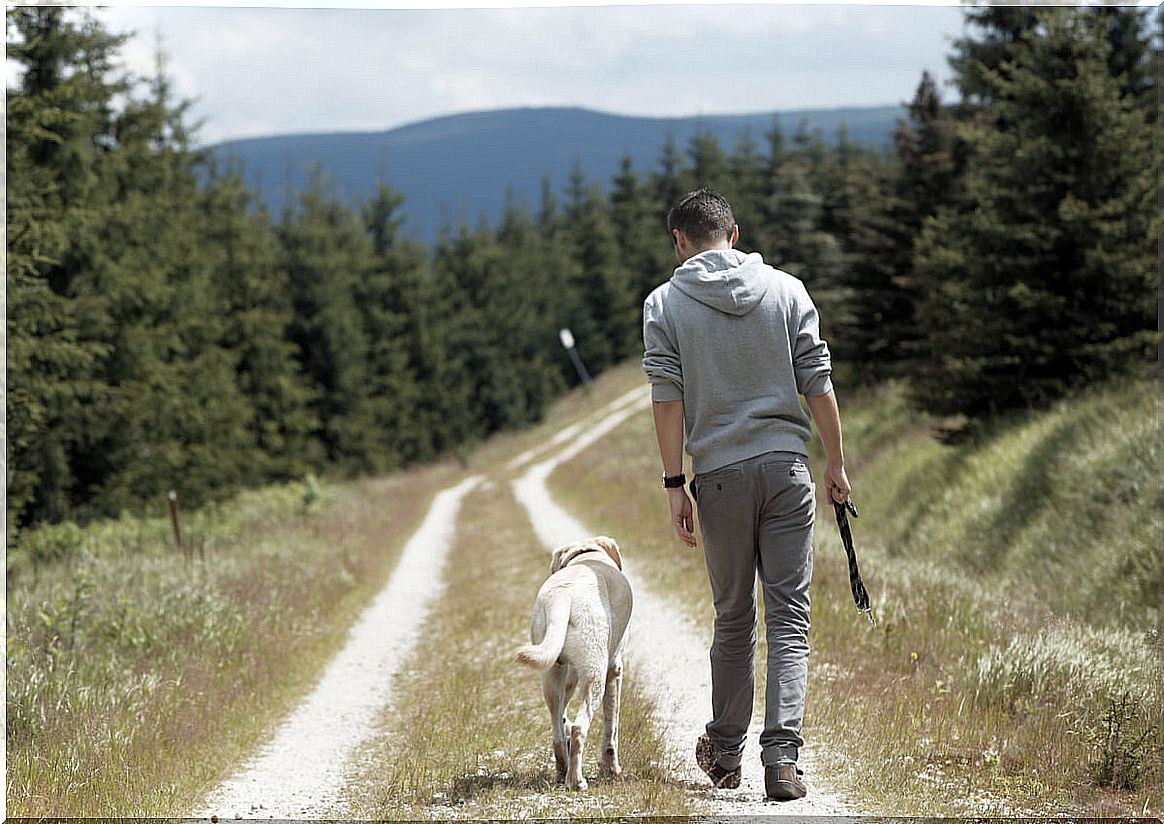 Why do dogs follow their guardians?